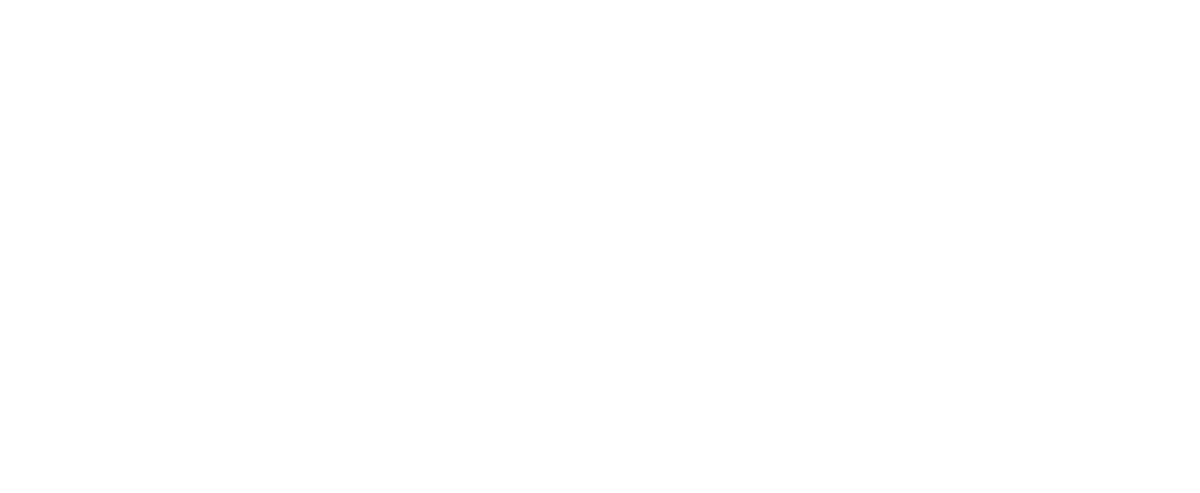 BridgeLayer IT